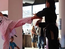 Astoria Martial Arts Gallery