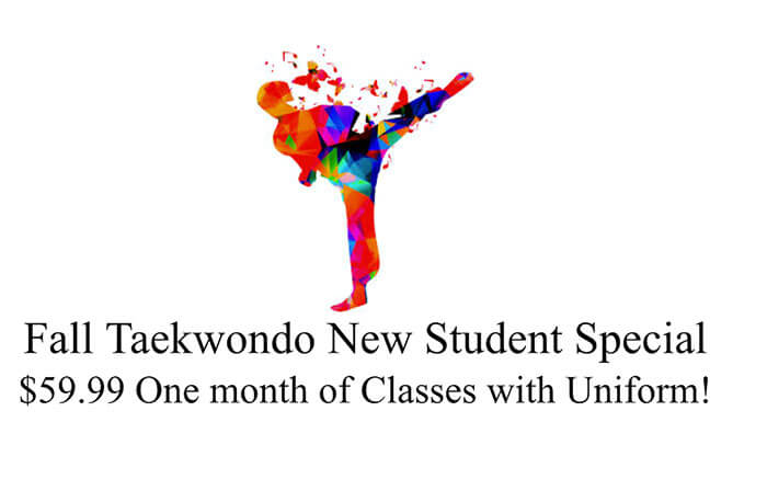 home queens martial arts training taekwondo and cardio kick boxing home queens martial arts training